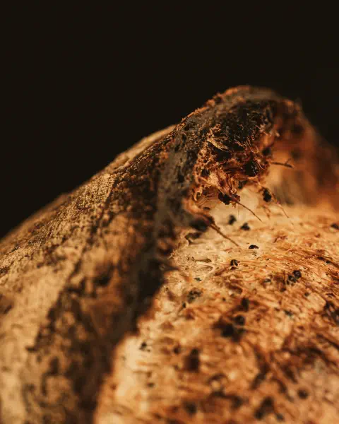 Close-up of a rough, blistered crust